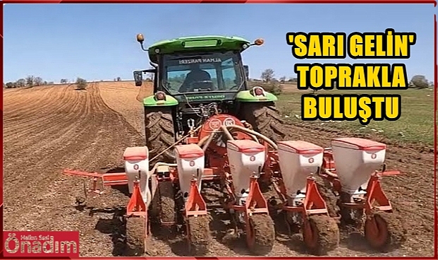 Uzunköprü Çiftçisi Ayçiçeği Ekimi İçin Sahaya İndi