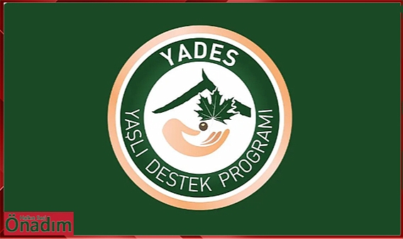 Yaşlı Destek Programına Başvurular Başladı Son Tarih 3 Haziran!