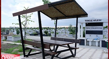 Yürüyüş Yolları ve Ağaçlandırma Uygulamaları Tamamlandı