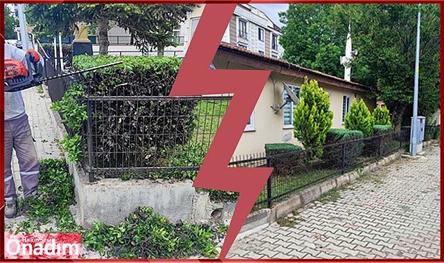 Bal Türk Binası Temiz Bir Görünüme Kavuştu
