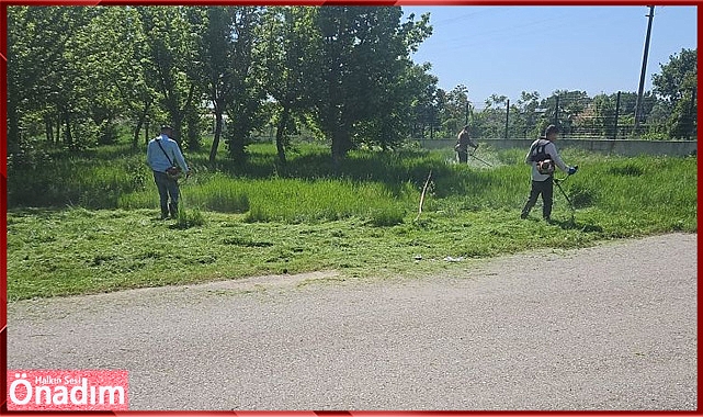 Belediyeden kene ilaçlaması