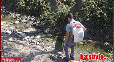 Belediyeden Larva ve Uçkunla Mücadele Atağı