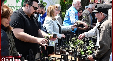 Belediyeden Vatandaşa 12 bin 500 Atalık Fide Dağıtıldı