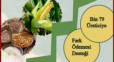 Bin 79 Üreticiye, Fark Ödemesi Desteği Hesaplarda