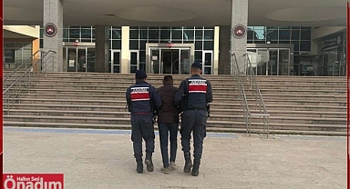 Hırsızlık Hükümlüsü Daha Fazla Kaçamadı