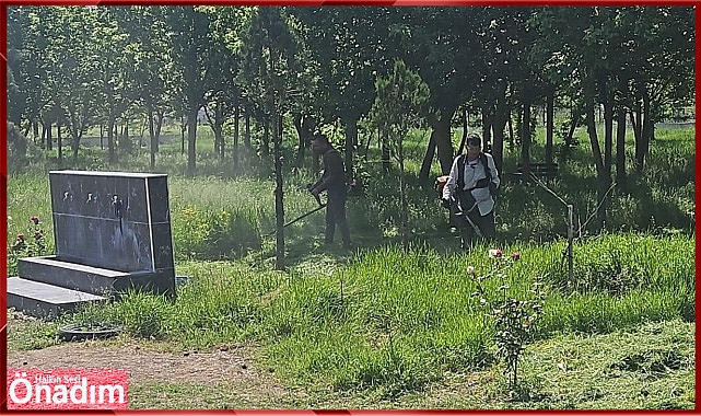 İnece Belediyesi larva ilaçlama çalışmaları devam ediyor