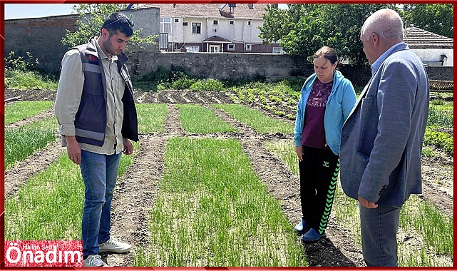 “Pırasa Tarımında Yeşeren Bereket Projesi”