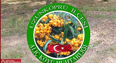 Alıç Köyü Geleneksel Dallığı Yarın