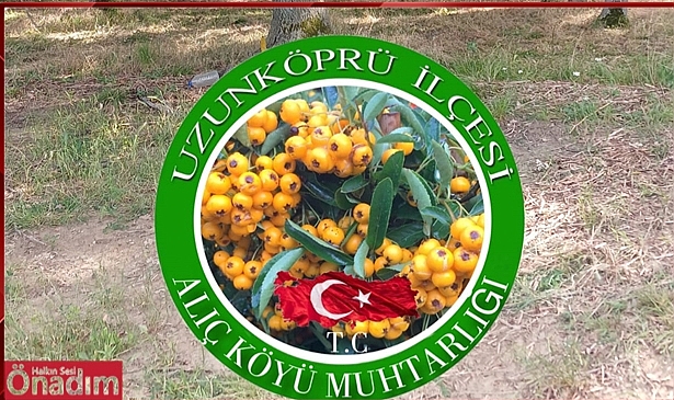 Alıç Köyü Geleneksel Dallığı Yarın