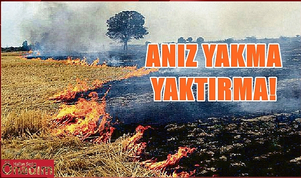 Anız Yakma Geleceğimizi Karartma!