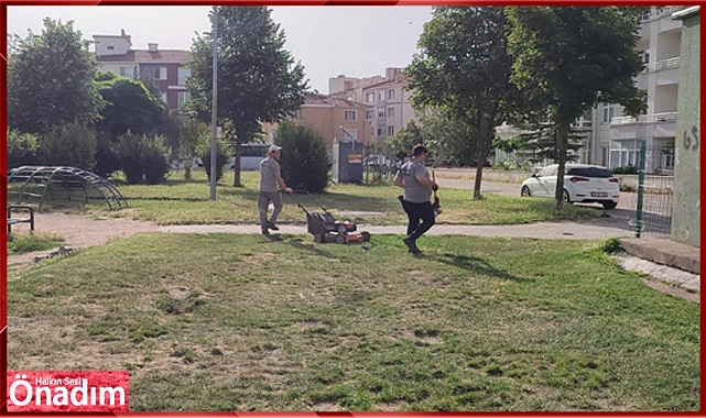 Belediye Ekipleri, Park ve Bahçelerdeki Çalışmalarını Sürdürüyor