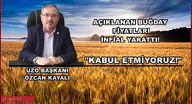 Buğday Fiyatına Tepkiler Çığ Gibi! Kayalı, “Kabul Etmiyoruz!”