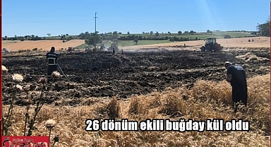 Buğday Tarlasında Çıkan Yangın Korkuttu