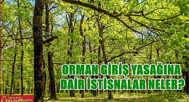 Edirne’de Ormanlara Giriş Yasağı!