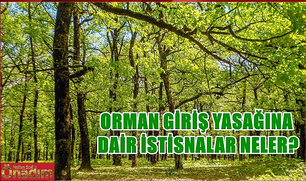 Edirne’de Ormanlara Giriş Yasağı!