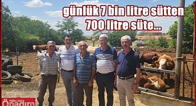 Gaytancıoğlu, “Hayvancılık Bitiyor”