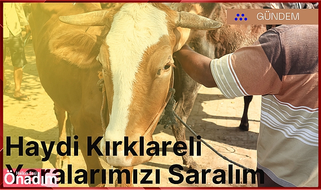Haydi Kırklareli Yaralarımızı Saralım
