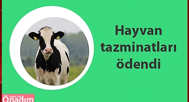 Hayvanlar için Tazminat Ödemeleri yapıldı