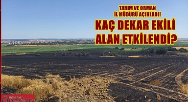 İl Tarım ve Orman Müdürü Bayazıt Uzunköprü’deki Yangının Bilançosunu Açıkladı