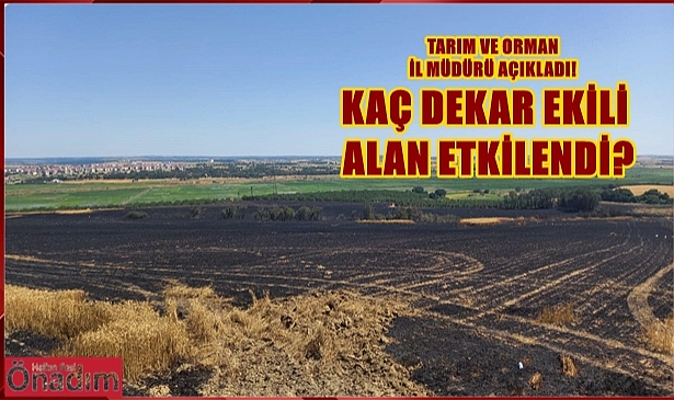 İl Tarım ve Orman Müdürü Bayazıt Uzunköprü’deki Yangının Bilançosunu Açıkladı