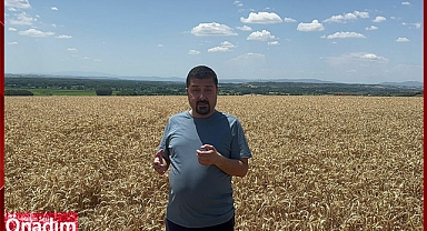 “Kararı Bir Kere Daha Düşünün, Buğday Neden Yok Diye Sormayın”