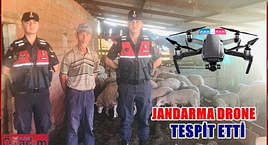 Kaybolan 62 Küçükbaş Hayvan Drone İle Bulundu