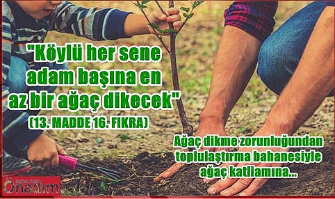 Köy Kanununa Günümüzde Kim Uyuyor? Kim Denetliyor?