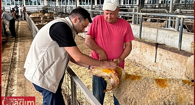 Kurban Bayramı Süresince İl Tarım ve Orman Ekipleri Teyakkuzdaydı