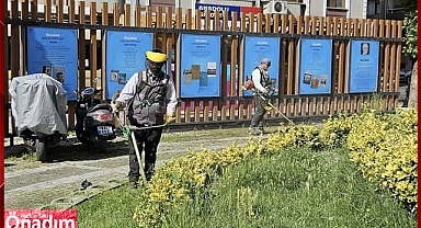 Lüleburgaz Belediyesi’nden Ot Biçme Çalışmaları