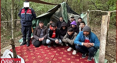 Meriç İlçesinde Düzensiz Göçmenler Yakalandı