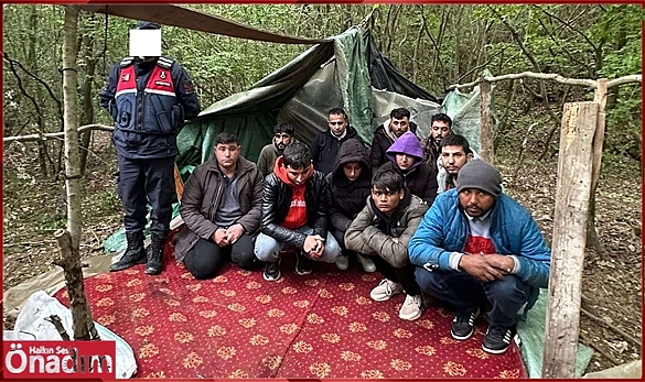 Meriç İlçesinde Düzensiz Göçmenler Yakalandı