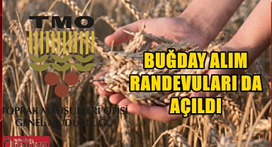TMO Buğday Alımı İçin de Randevu Sistemini Açtı