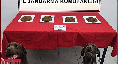 Uzunköprü’de Jandarmadan Uyuşturucu Operasyonu