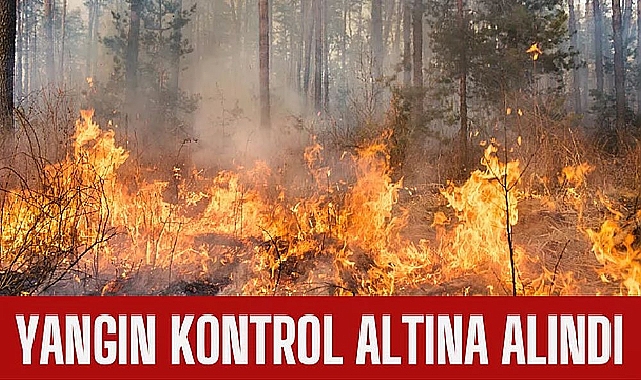 Yangın Kontrol Altına Alındı