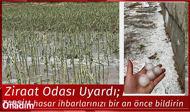 Ziraat Odası Uyardı; TARSİM hasar ihbarlarınızı bir an önce bildirin