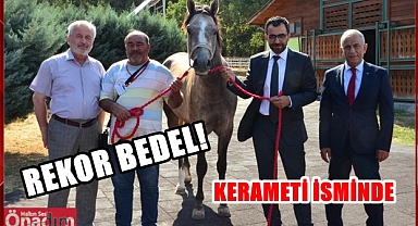 Açık Arttırmanın En Değerlisi ‘Uzunköprü’ Oldu