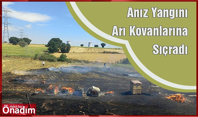 Anız Yangını Arı Kovanlarına Sıçradı