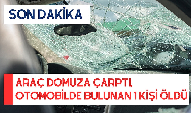 Araç domuza çarptı, otomobilde bulunan 1 kişi öldü