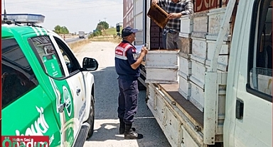 Arıcılara Jandarmadan Sıkı Denetim