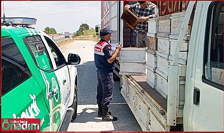 Arıcılara Jandarmadan Sıkı Denetim