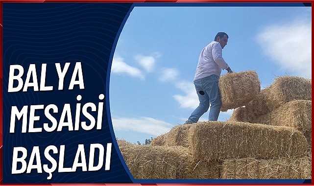 Balya Mesaisi Başladı