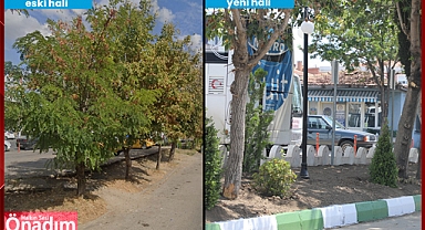 Belediye Peyzaj Çalışmalarını Tamamladı