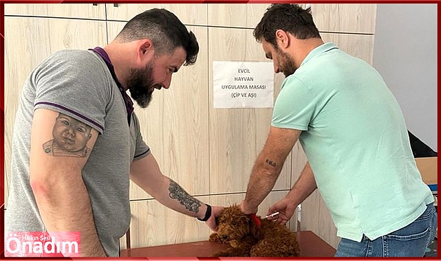 Can Dostları'nın Kimliklendirilme İşlemleri Devam Ediyor