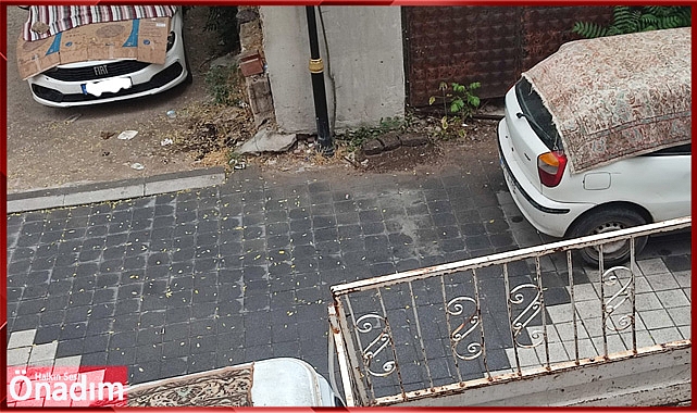 Doluya Karşı Battaniyeli Önlem