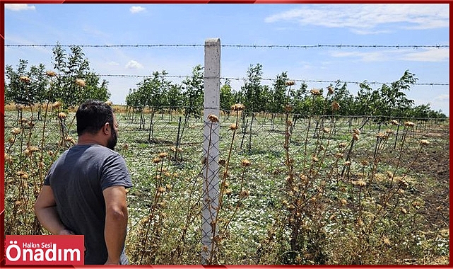 Fidan üreticileri bilgilendirildi.