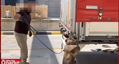 Hamzebeyli Sınır Kapısında 266 Kilo Uyuşturucu Yakalandı