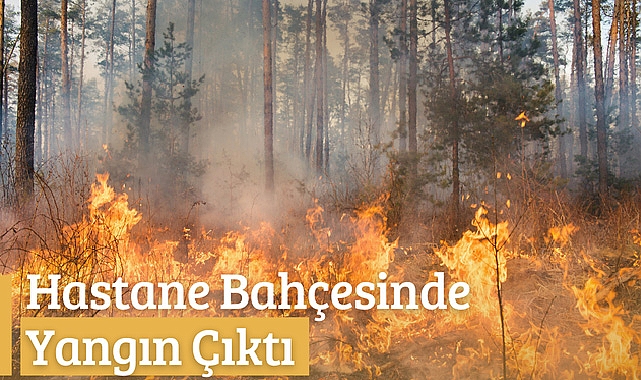 Hastane Bahçesinde Yangın Çıktı