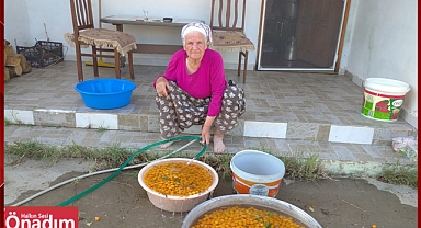Kışa hazırlıklar sürüyor