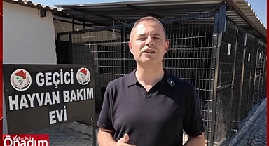“Kısırlaştırma Operasyonlarımızı İki Katına Çıkartmış Bulunmaktayız”