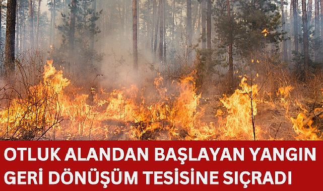 Otluk alandan başlayan yangın geri dönüşüm tesisine sıçradı